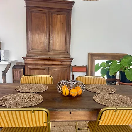 Papaya Lajares